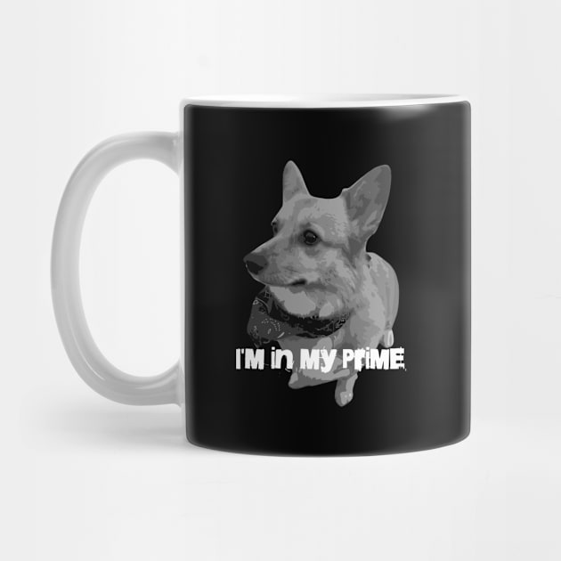 I'm In My Prime Corgi by Zelda